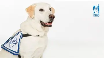 Arjen superapulaiset tekevät kaupungeista saavutettavampia